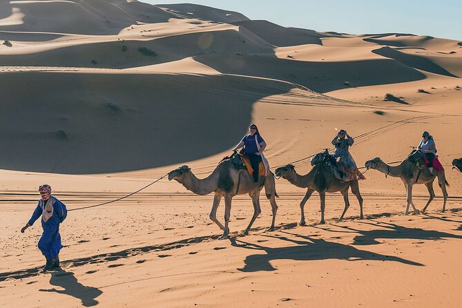 7 Days Luxury Desert Tour From Casablanca to Marrakech via fez -Camel trekking - Day 6 in Marrakech: palaces, gardens, madrasa, and Jamaa el Fna at night