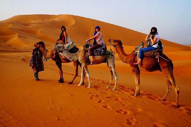 7 Days Luxury Desert Tour From Casablanca to Marrakech via fez -Camel trekking - Price and logistics: what you’re really paying for