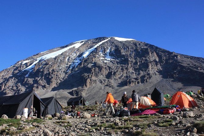 7 Days Machame Route Kilimanjaro Trekking - Key Highlights You’ll Feel on the Mountain