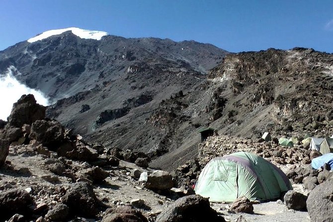 7 Days Machame Route Kilimanjaro Trekking - Day 1 From Arusha to Kilimanjaro National Park Gate: Rainforest Reality (18 km, ~7 hours)