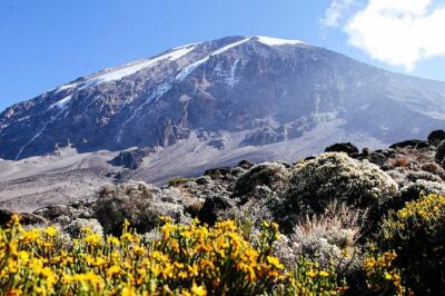 7 Days Machame Route Trek Mount Kilimanjaro - Day 1: From the Gate to Machame Camp in the Rainforest