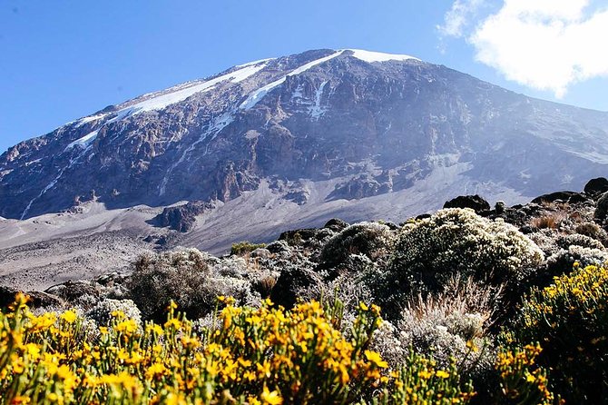 7 Days Machame Route Trek Mount Kilimanjaro - Day 1: From the Gate to Machame Camp in the Rainforest