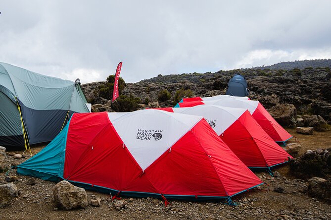 8 Day Kilimanjaro Trek via Lemosho Route - Why the Lemosho Route feels calmer than the usual Kilimanjaro game plan