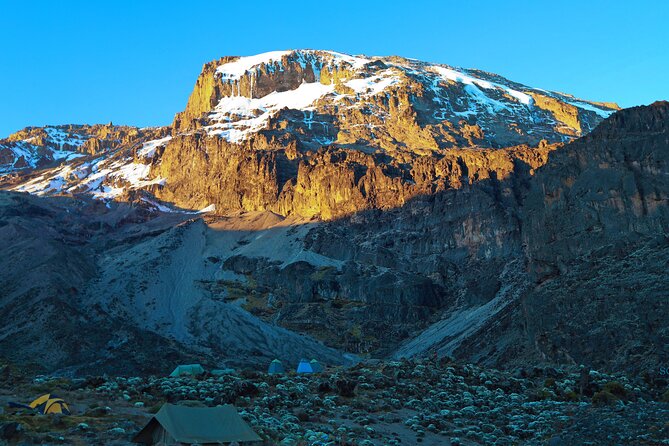 8 Day Kilimanjaro Trek via Lemosho Route - Day 3: Mti Mkubwa to Shira 1 Camp (11,499 ft)