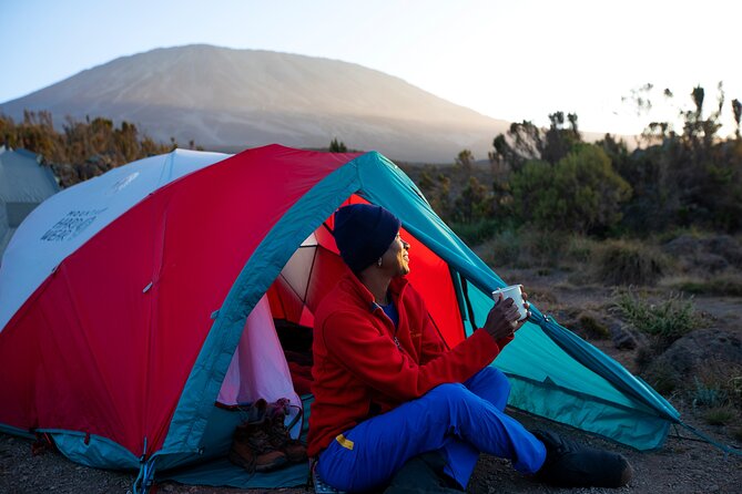 8 Day Kilimanjaro Trek via Lemosho Route - Day 4: Shira 1 to Shira 2 (12,598 ft) across the Shira Plateau