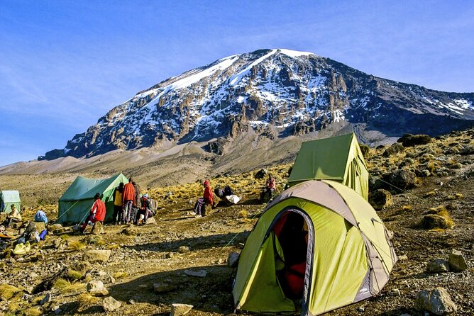 8 Day Mount Kilimanjaro Trekking Lemosho Route - Why the Lemosho Route Feels Like a Smart Climb, Not a Rush