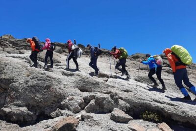 8 Day Mount Kilimanjaro Trekking Lemosho Route - Day 1: From Moshi to Mti Mkubwa in the Montane Forest