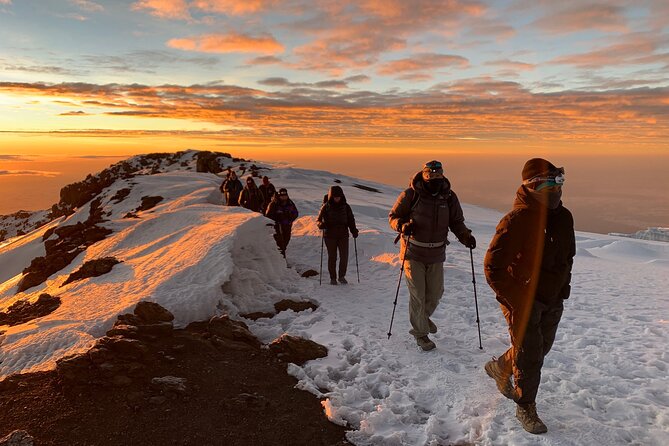 8 Day Mount Kilimanjaro Trekking Lemosho Route - Day 5: Up Barranco Wall to Karanga Valley and the Link to Mweka