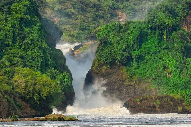 8-Day Murchison Falls, Chimp and Epic Gorilla Trekking - Queen Elizabeth National Park at Dusk: Game Tracks, Hippos, and Predator Chances