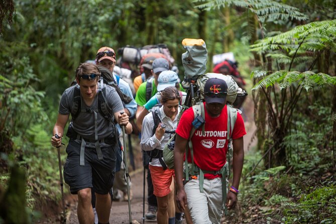 8-Day Small-group Lemosho Kilimanjaro Summit Trekking - Day 4: Lava Tower acclimatization, Arrow Glacier junction, then Barranco