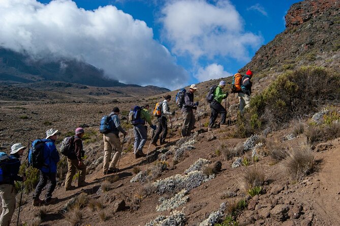 8 Days Guided Private Trekking in Mount Kilimanjaro - Key highlights before you commit