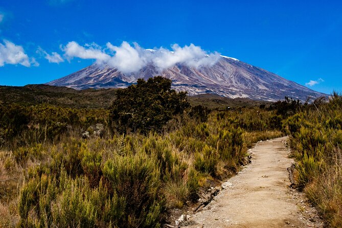 8 Days Guided Private Trekking in Mount Kilimanjaro - Day-by-day trek plan: what you’ll do, what it means, and where it can bite