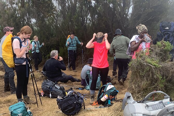 8 Days Guided Private Trekking in Mount Kilimanjaro - Moshi start point: pickup, getting there, and keeping your plan tidy
