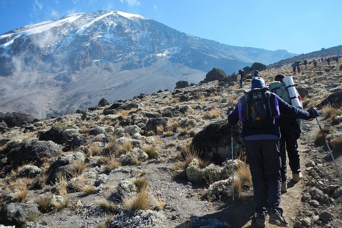 8 Days Lemosho Route Kilimanjaro Trekking - Key things that make this 8-day Lemosho trek special