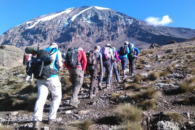 8 Days Lemosho Route Kilimanjaro Trekking - Why Lemosho feels varied instead of repetitive