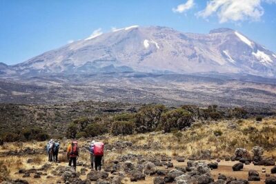 8 Days Lemosho Route Kilimanjaro Trekking - Price and value: what the $2,700.52 covers on this 8-day plan