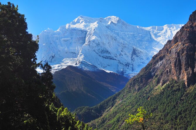 8 Days Private Guided Trekking in Annapurna Circuit with Pickup - Day 7: Thorong La Pass (5416m) to Muktinath, then drive toward Jomsom