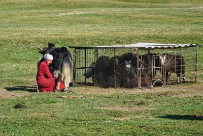8 Days Private Tour at Lenin Peak Base Camp Trek - Koshmoinok Pass Country: A Steeper, Longer Day with Village Lunch
