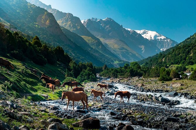8 Days Private Tour at Lenin Peak Base Camp Trek - Yukhina Peak at 5,130m: Glacier Views and Thin-Air Work