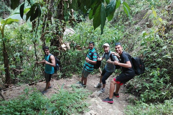8KM White Water Rafting and 3HRS Jungle Trekking Adventure - Jungle trekking (3 hours): shade, plant facts, and small moments