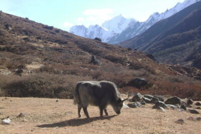 9 Days LANGTANG VALLEY TREKKING IN NEPAL - Syabrubesi Hot Springs: A Needed Reset