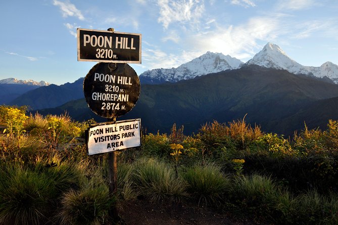9 Days short and Easy Ghorepani Poonhill Trekking in Nepal - Day 4 to Ghorepani: Ulleri stone steps and the tough-to-easy swing