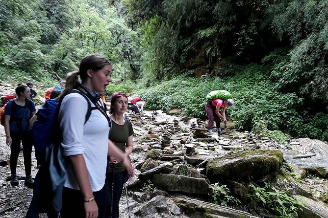 9 Days short and Easy Ghorepani Poonhill Trekking in Nepal - Day 6 to Ghandruk: shorter trek, big village energy