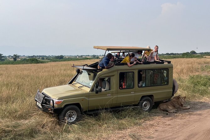9 Days Uganda Wildlife Safaris, Gorilla Trekking & Hiking - Hotel No.5 in Entebbe: low-key comfort before the wild
