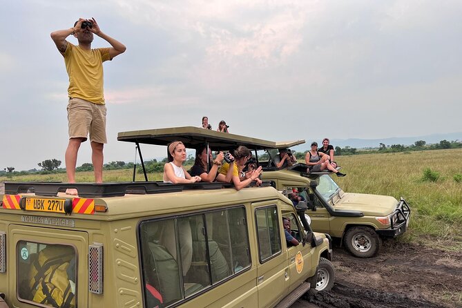 9 Days Uganda Wildlife Safaris, Gorilla Trekking & Hiking - Budongo Forest into Bwindi: primates on the move, then gorilla country
