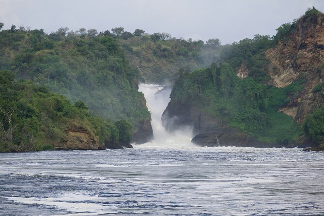 9 Days Uganda Wildlife Safaris, Gorilla Trekking & Hiking - Bwindi Gorilla Trek at 7:00 am: one hour with the family, then optional Batwa culture