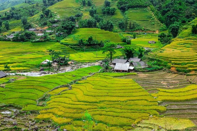 A day Trek to Rice Field in LaoChai-Tavan village-MuongHoa valley - Key highlights you’ll feel on this hike
