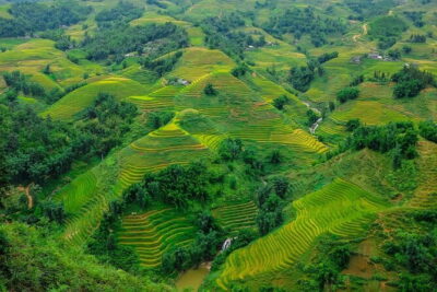 A day Trek to Rice Field in LaoChai-Tavan village-MuongHoa valley - The 9:00 am start and the Y Linh Ho to Lao Chai and Ta Van flow