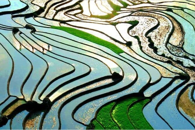 A day Trek to Rice Field in LaoChai-Tavan village-MuongHoa valley - Pace, elevation, and footwear: the stuff that decides your day