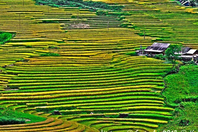A day Trek to Rice Field in LaoChai-Tavan village-MuongHoa valley - Price and value: why $34 can work here