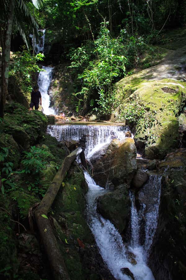 A Jungle-to-Sea Kayaking & Trekking Adventure in Phuket - Key Points Worth Noting Before You Go