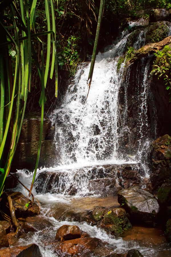 A Jungle-to-Sea Kayaking & Trekking Adventure in Phuket - Price and Value: What $86 Gets You in Real Time