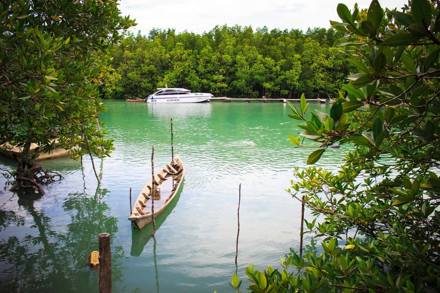 A Jungle-to-Sea Kayaking & Trekking Adventure in Phuket - Quick Tips for a Smoother Day