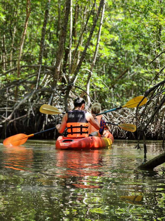 A Jungle-to-Sea Kayaking & Trekking Adventure in Phuket - Getting From Karon to Bang Rong Pier Without Stress