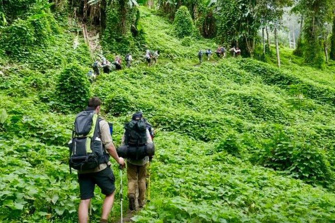 ADVENTURE KOKODA 10-Day Premium Kokoda Campaign Trek Australian Led - Day 5: Hehomuri Creek, Nauro Lookout, and Menari Gap