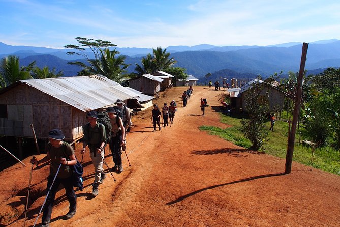 ADVENTURE KOKODA 10-Day Premium Kokoda Campaign Trek Australian Led - Day 7: Moss Forest to Lake Myola, plus Bombers campsite and the P40 Kittyhawk