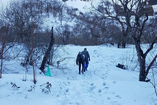 Adventurous Annapurna Base Camp Trekking - From Ulleri to Ghorepani: Steps, Forest, and First Big View Chances