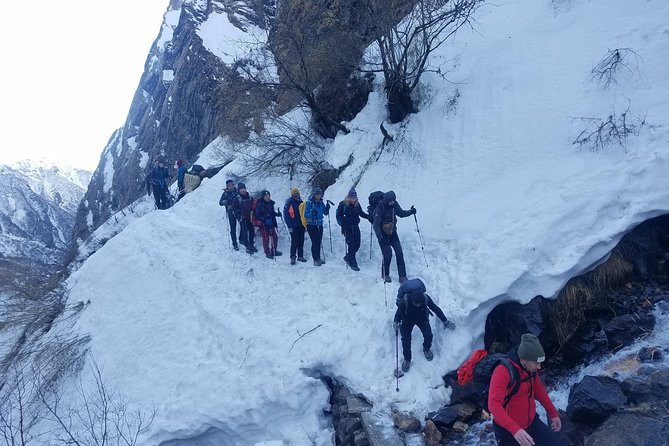 Adventurous Annapurna Base Camp Trekking - Annapurna Base Camp Day: The Amphitheater Feeling and Glacier Views