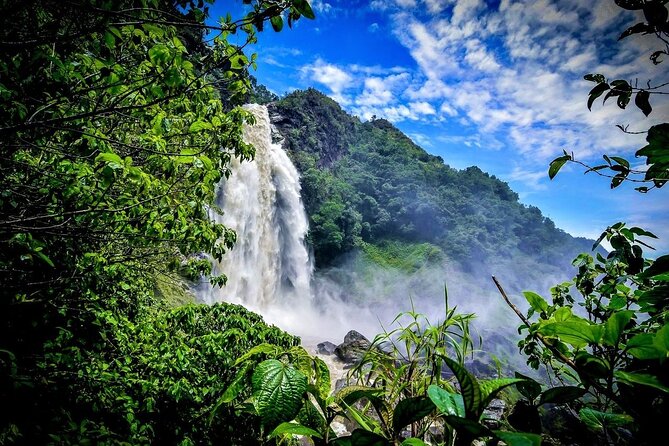 Aerial Hammocks, Zip and Waterfall Trek on Medellin Private Tour - Who This Tour Fits Best (and Who Should Rethink It)