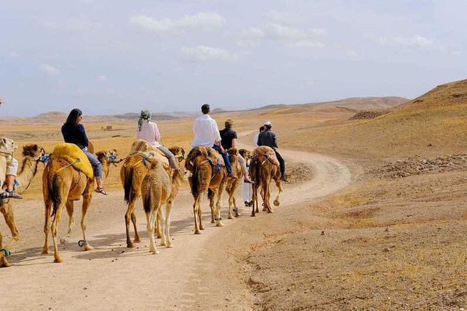 AGAFAY DESERT: Exclusive Sunset Camel Trek with Dinner in Agafay - Sunset camel trek: timing, terrain, and what to watch for