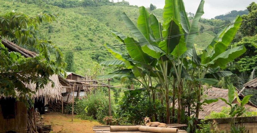 Akha & Lahu village trekking 1 day - Key highlights you’ll remember