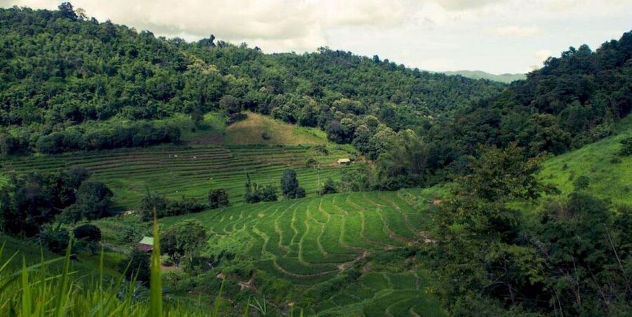 Akha & Lahu village trekking 1 day - Price and Value: Is $87 for a 1-Day Trek Fair?