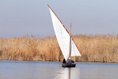 Albufera Private Day Tour: Paella, Boat Cruise and Nature Walk - Private pickup in Valencia: the part that makes your day easier