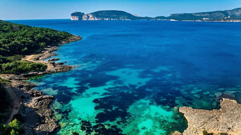 Alghero: trekking in the Porto Conte park - Why the guide matters (and what you’ll likely learn)