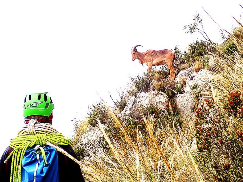 Alicante: Via Ferrata del Ponoig Guided Trek and Climb - The K4 Climb: Metal Staples, Security Cable, and Real Exposure