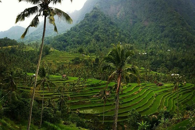 All inclusive Bali Sekumpul Waterfalls Trekking Tour - Sekumpul Waterfall trek: entrance included, plus spots for photos and swimming